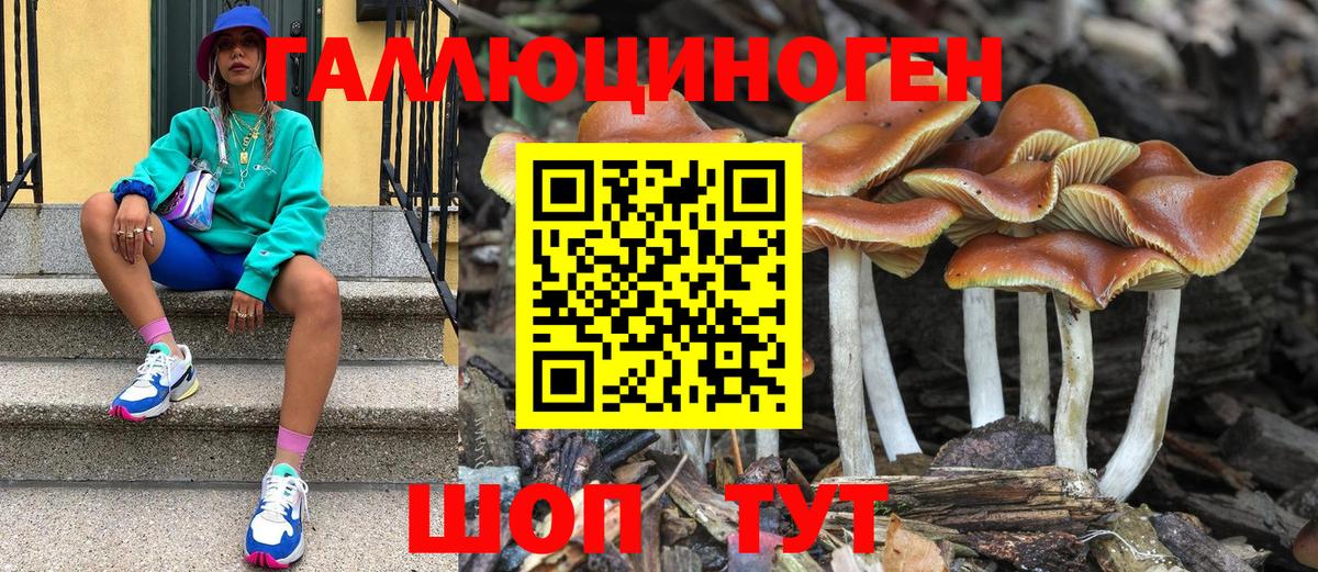 Керчь  Галлюциногенные грибы MAGIC MUSHROOMS  Вход с VPN 